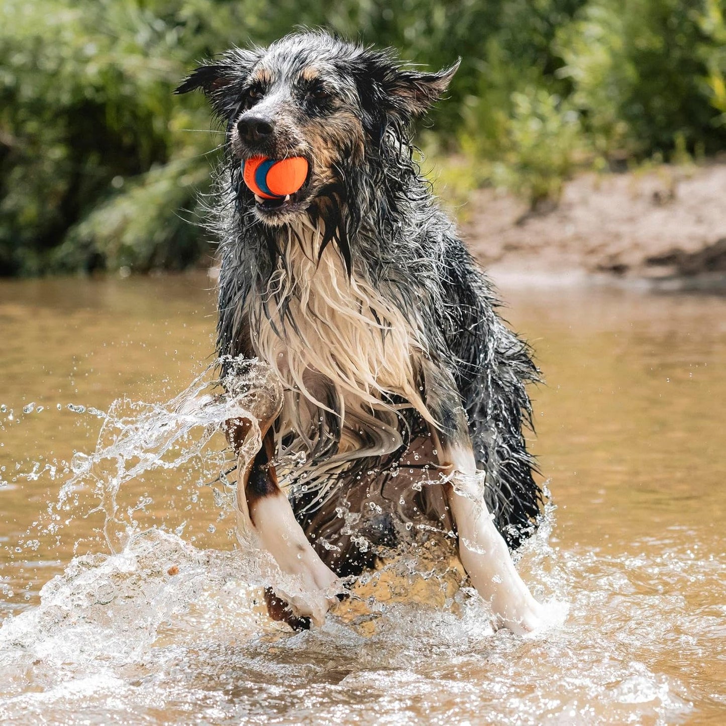Azokro®Ultra Ball Dog Toy - Medium Bouncy Fetch Balls For Dogs 20-60 lbs - Made from Durable Rubber - Floating Water Pet Toys - Size Medium - 2.5-inch Diameter
