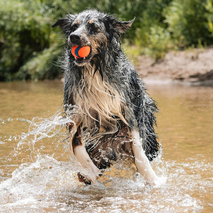 Azokro®Ultra Ball Dog Toy - Medium Bouncy Fetch Balls For Dogs 20-60 lbs - Made from Durable Rubber - Floating Water Pet Toys - Size Medium - 2.5-inch Diameter