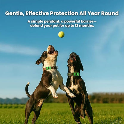 Azokro®12 Months Flea and Tick Free,Waterproof Design, Long Lasting Protection, Extremely Stretchable - Fits Every Dog, for Rain, Mud, River, Swim