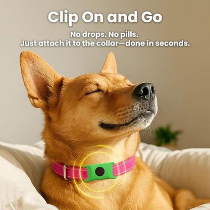 Azokro®12 Months Flea and Tick Free,Waterproof Design, Long Lasting Protection, Extremely Stretchable - Fits Every Dog, for Rain, Mud, River, Swim