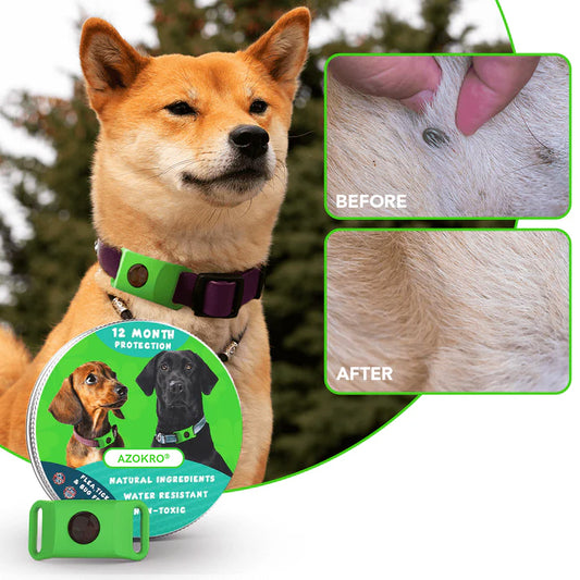 Azokro®12 Months Flea and Tick Free,Waterproof Design, Long Lasting Protection, Extremely Stretchable - Fits Every Dog, for Rain, Mud, River, Swim