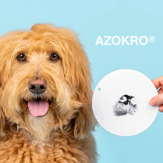 ✅🏆Azokro® Paw Print Stamp Pads
